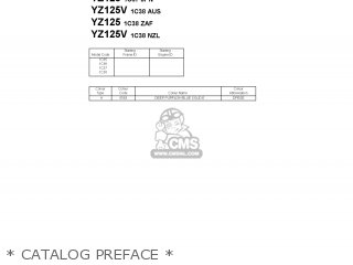 * CATALOG PREFACE * - YZ125V 2006 1C35 USA 1E1C3-100E1