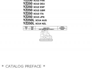 * CATALOG PREFACE * - YZ250 1999 5CU2 SPAIN 295CU-100E3