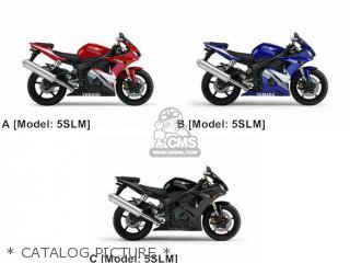 Yamaha YZF-R6 2005 5SLM BELGIUM 1D5SL-300E1 parts lists and schematics