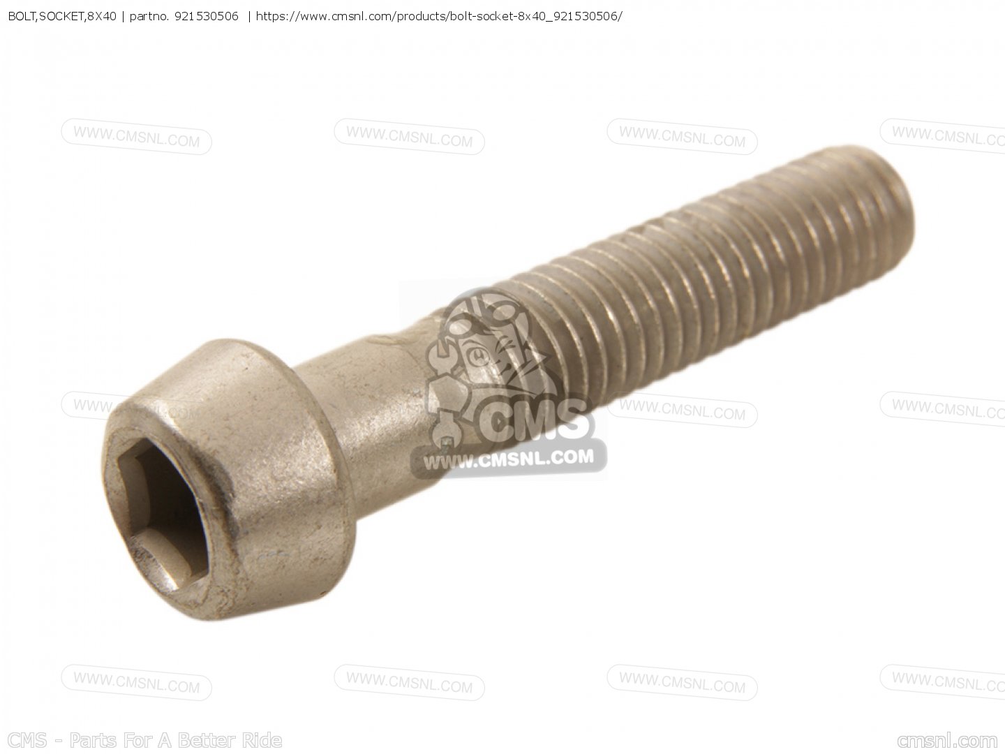 スルド ボルト ソケット 8X40をKawasakiに - CMSNLで注文