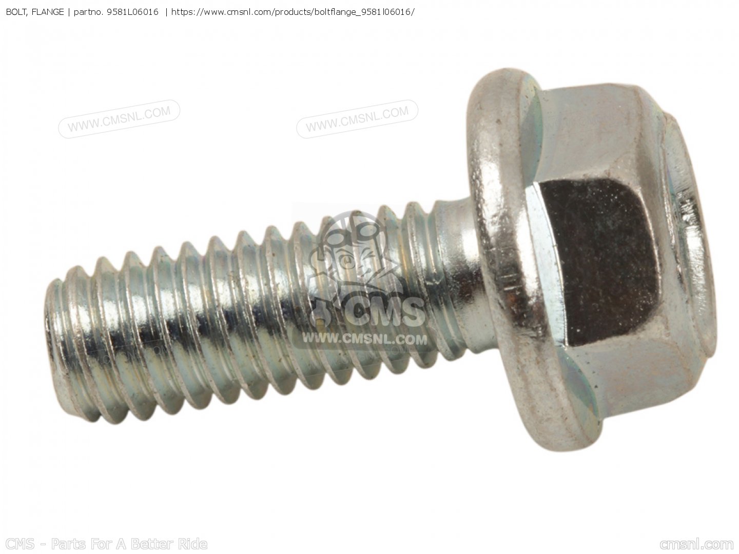 ボルトン・ワンダラーズTie 2001年購入 ボルト フランジをYamahaに - CMSNLで注文