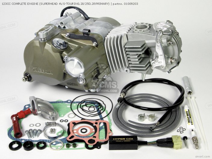 Takegawa 123CC COMPLETE ENGINE (SUPERHEAD 4V,S-TOURING,20/25D,2P,PRIMARY) 01009203