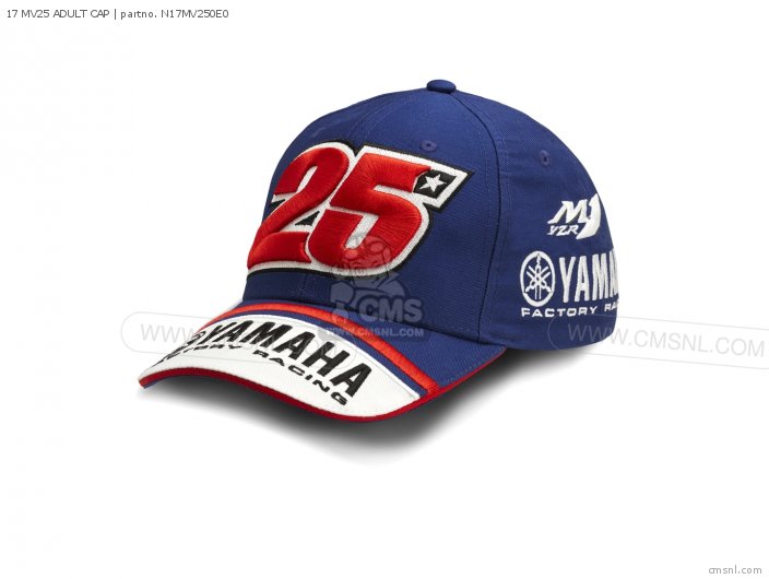 17 MV25 ADULT CAP