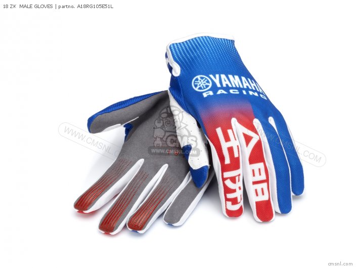 18 Zk  Male Gloves photo