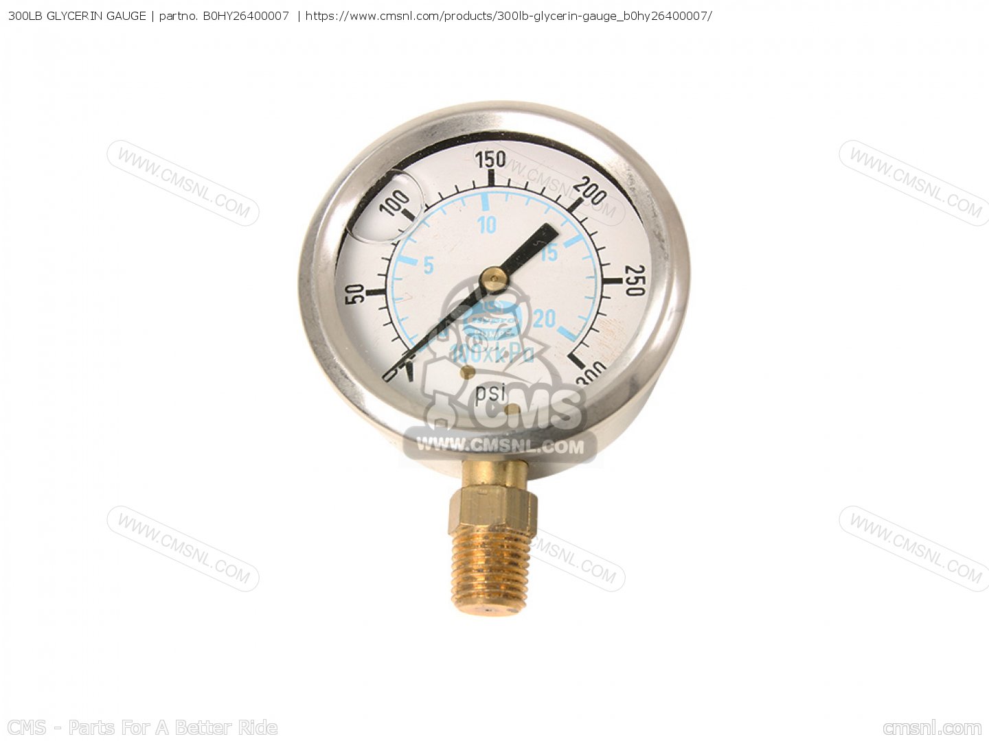 B0HY26400007 300lb Glycerin Gauge Yamaha buy the B0HY26400007 at