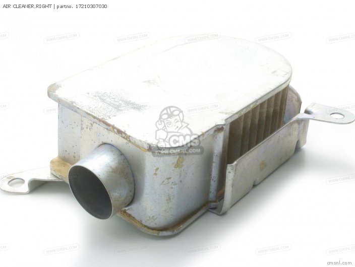 Honda AIR CLEANER,RIGHT 17210307030