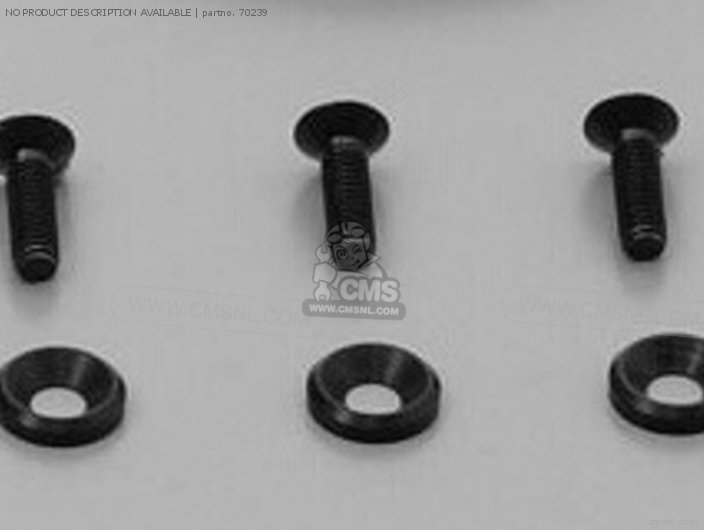 Daytona AR BREAKER WASHER & BOLT 90039704 70239