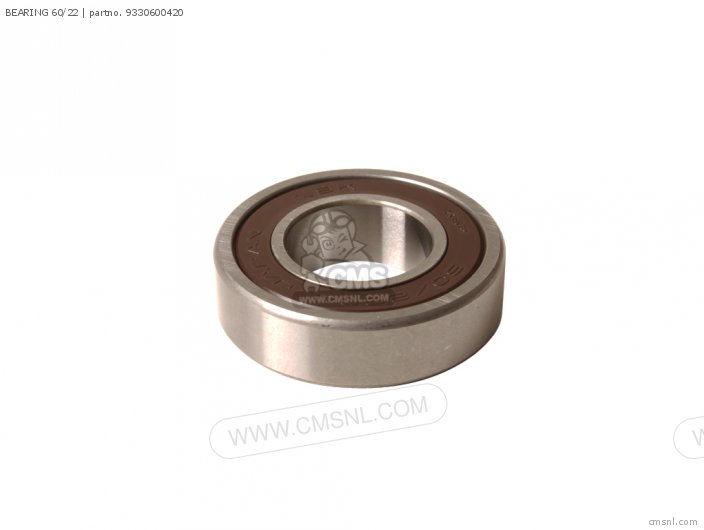 BEARING 60 22