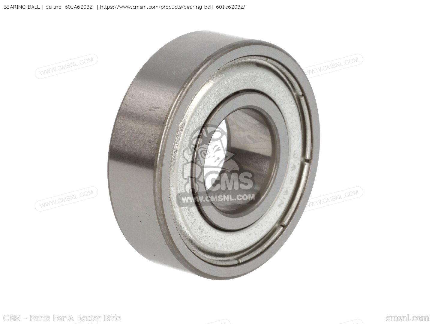 601A6203Z