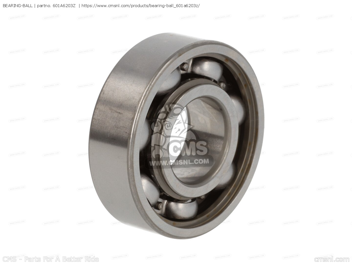 601A6203Z
