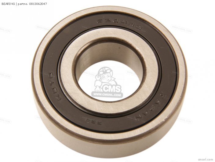 Suzuki BEARING 0813062047