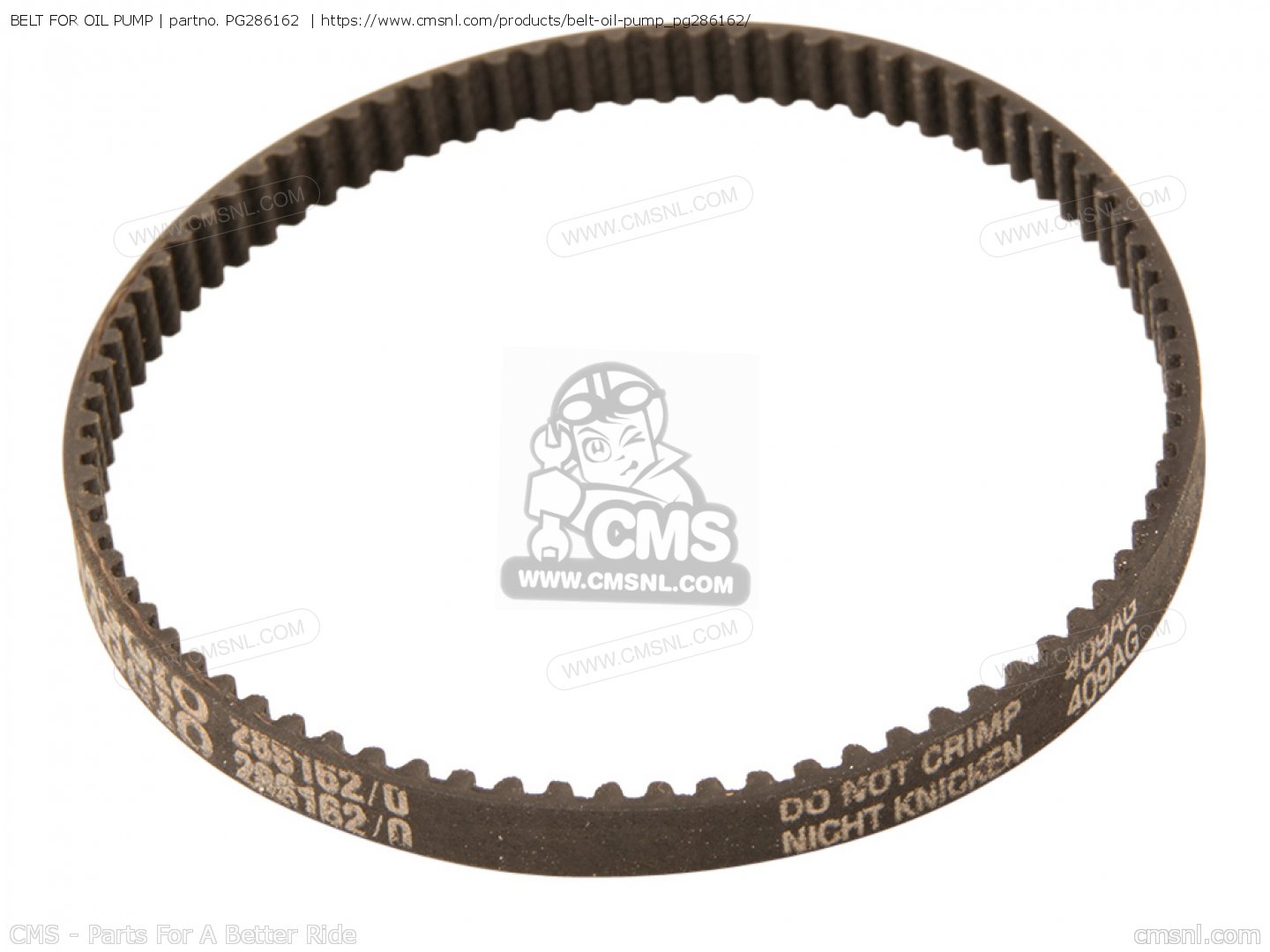 PG286162 Belt For Oil Pump Piaggio Group buy the 286162 at CMSNL