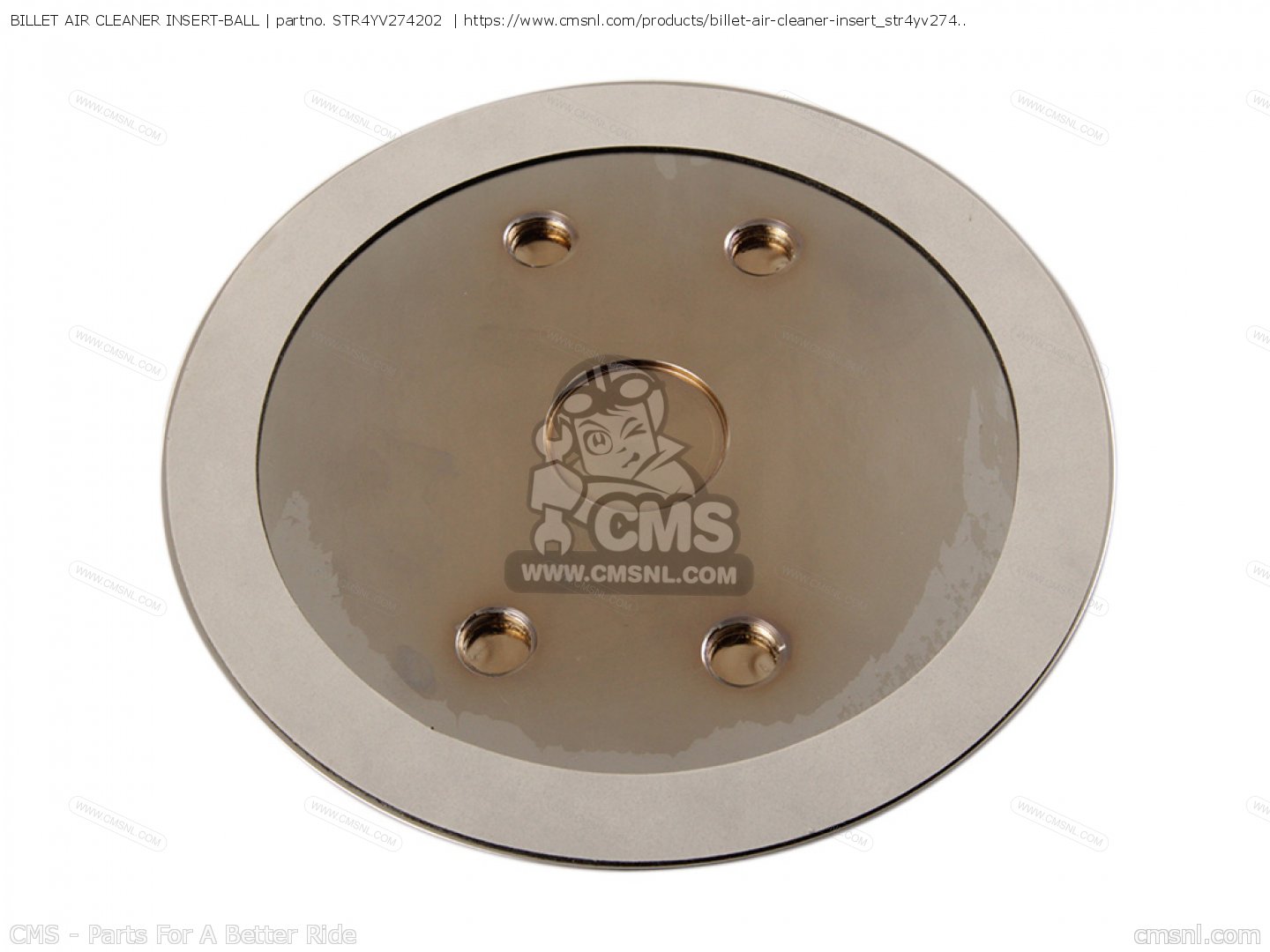 STR4YV274202: Billet Air Cleaner Insert-ball Yamaha - buy the STR-4YV27 ...