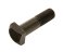 small image of BOLT 10X37