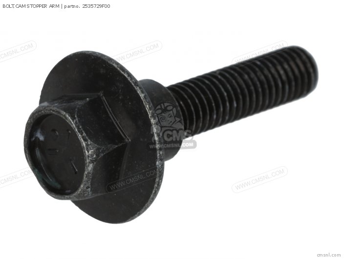 Suzuki BOLT,CAM STOPPER ARM 2535729F00