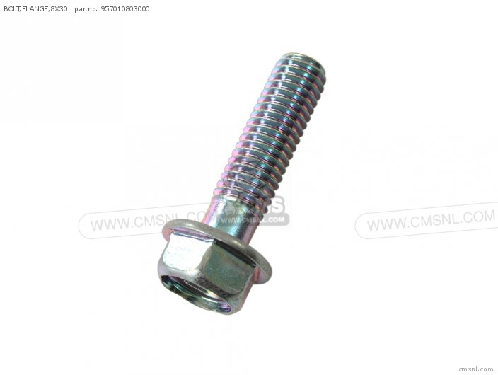 BOLT FLANGE 8X30
