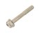 small image of BOLT-FLANGED 8X55
