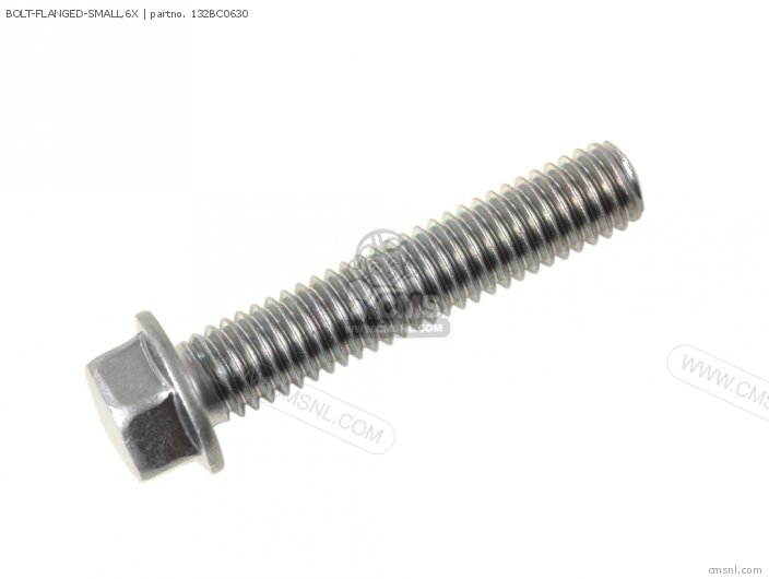 Bolt-flanged-small,6x photo