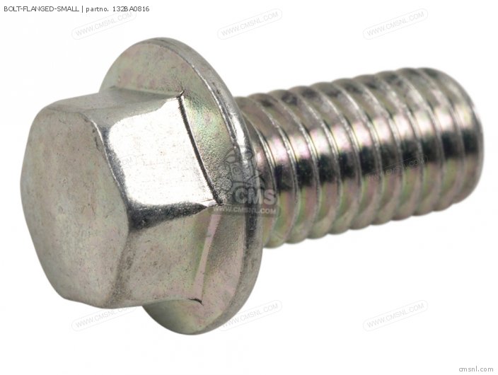 Bolt-flanged-small,8x photo