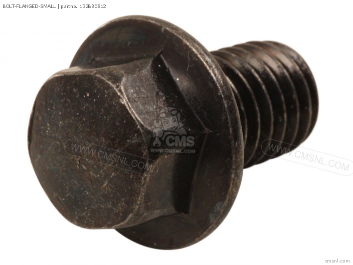 Bolt-flanged-small,8x photo