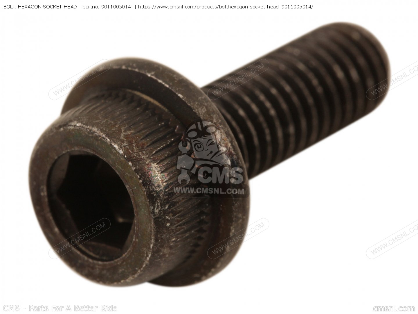 BOLT, HEXAGON SOCKET HEAD voor Yamaha - bestel bij CMSNL