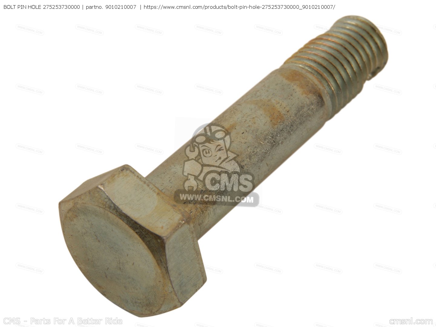 BOLT PIN HOLE 275253730000 for RT2 1972 USA order at CMSNL