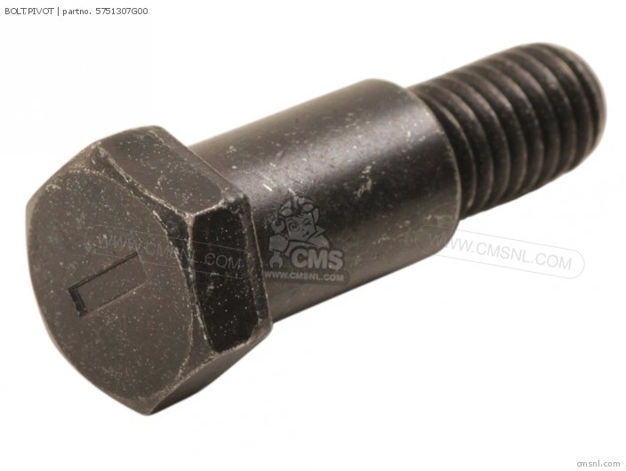 Suzuki BOLT,PIVOT 5751307G00