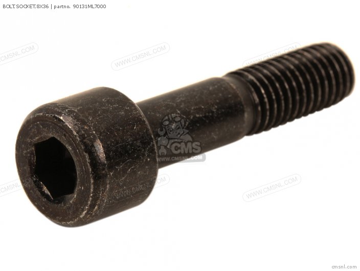 BOLT SOCKET 8X36