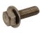 small image of BOLT-WP 5X16