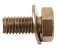small image of BOLT-WP 6X12