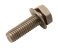 small image of BOLT-WP 6X20