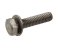 small image of BOLT-WP 6X25