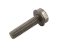 small image of BOLT-WP 6X25