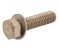 small image of BOLT-WP-SMALL 8X30