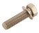 small image of BOLT-WP-SMALL 8X30