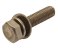 small image of BOLT-WSP 6X25