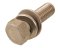 small image of BOLT-WSP-SMALL 8X25