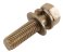small image of BOLT-WSP-SMALL 8X30