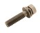 small image of BOLT-WSP-SMALL 8X35
