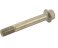 small image of BOLT10X75