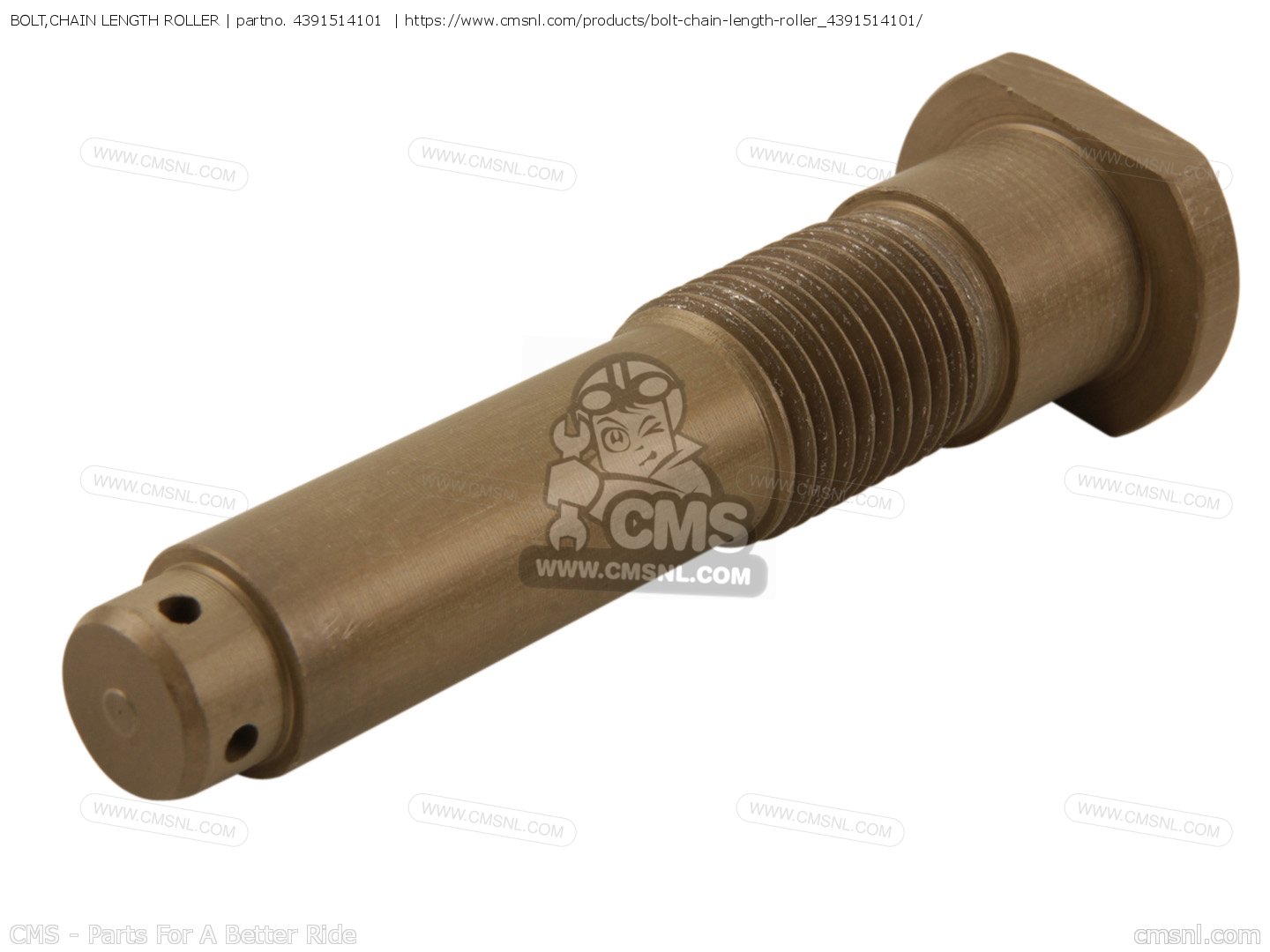 BOLT,CHAIN LENGTH ROLLER for RM125 1981 (X) order at CMSNL