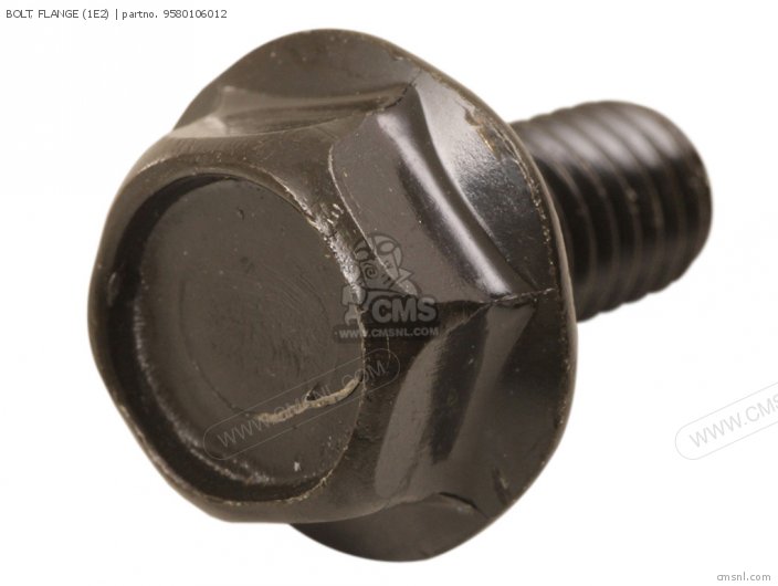 Bolt, Flange (1e2) photo