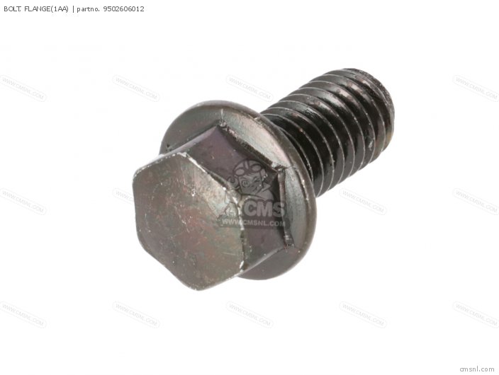 Bolt, Flange(1aa) photo