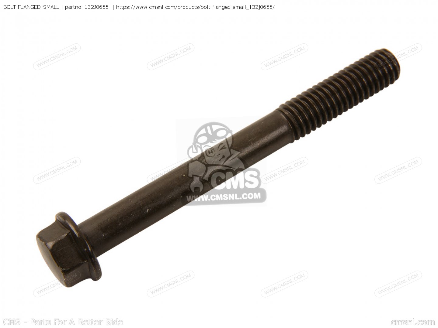 BOLT-FLANGED-SMALLをKawasakiに - CMSNLで注文