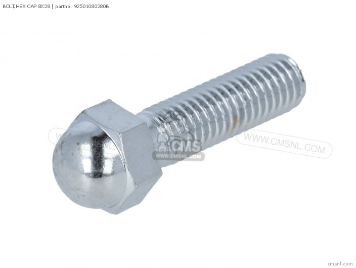 Bolt, Hex Cap 8x28 photo