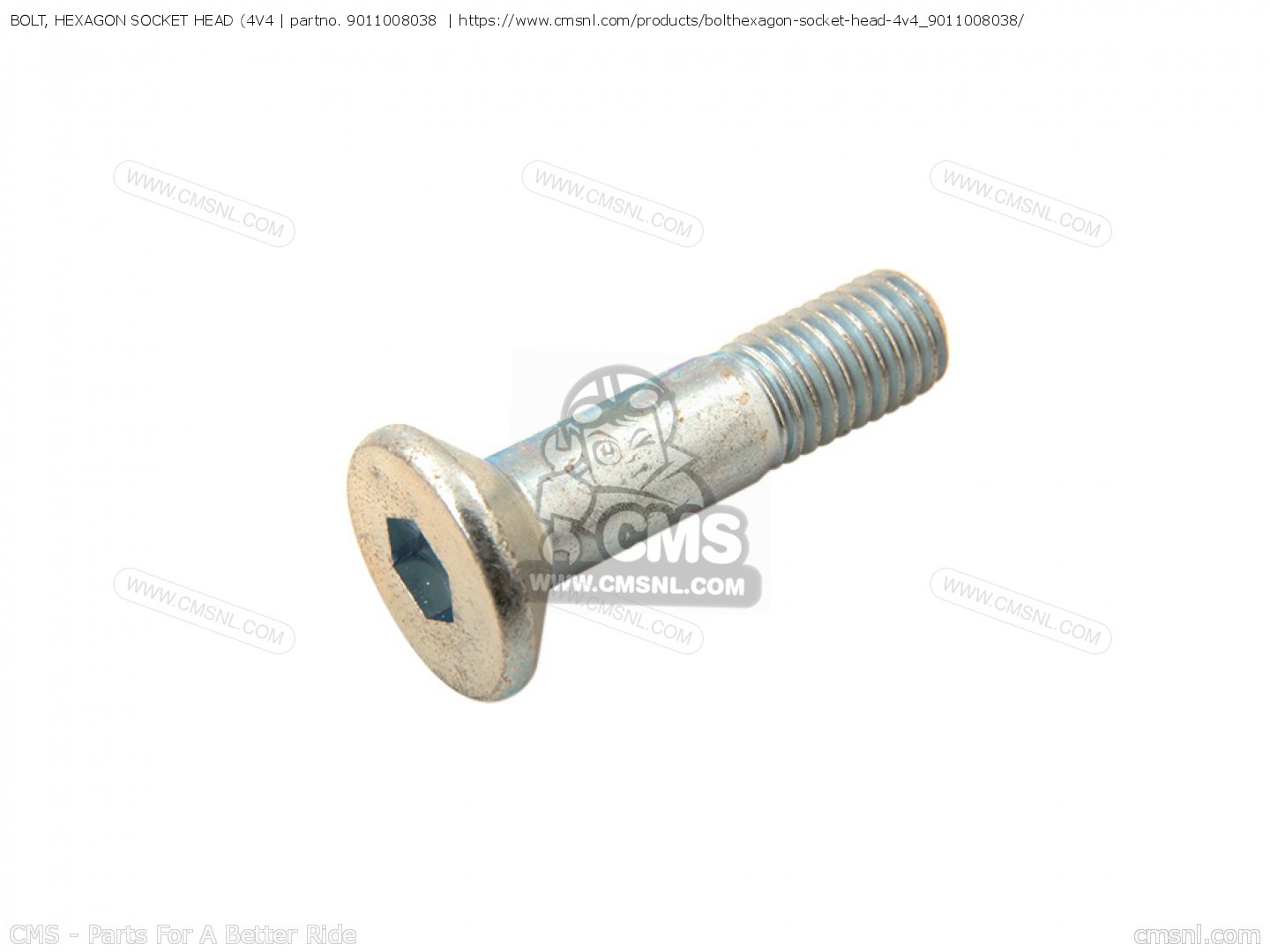 BOLT, HEXAGON SOCKET HEAD (4V4 for IT250 1981 (B) USA - order at CMSNL