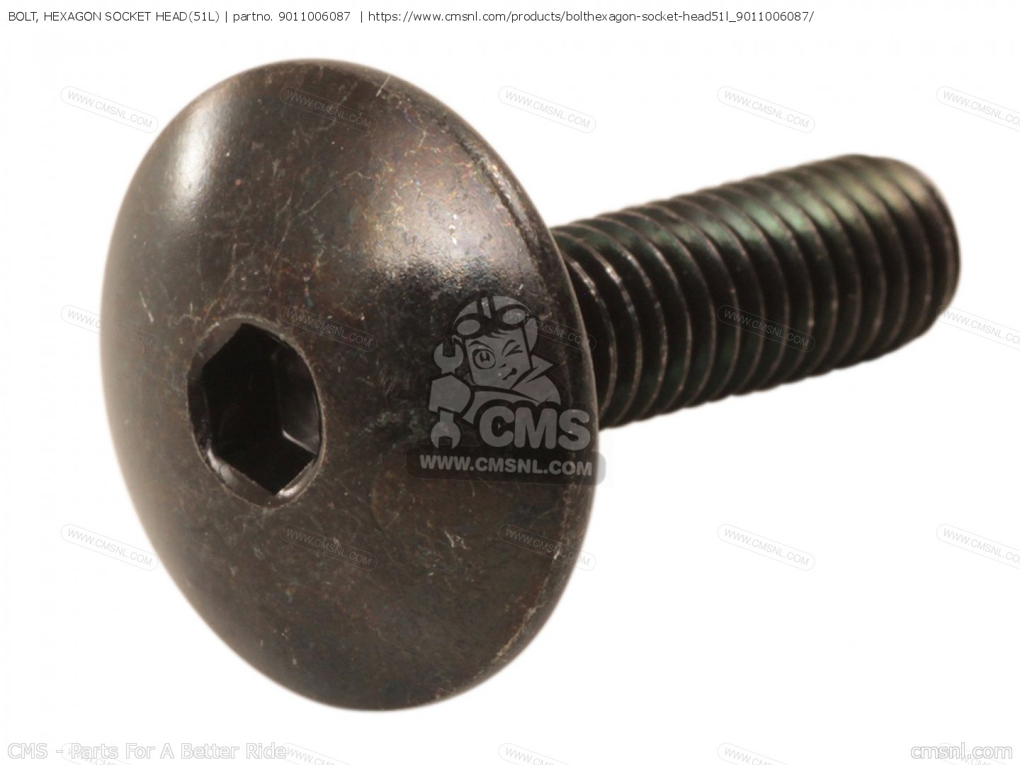 BOLT, HEXAGON SOCKET HEAD(51L) for RD500LC 1985 1GE EUROPE 251GE300E1