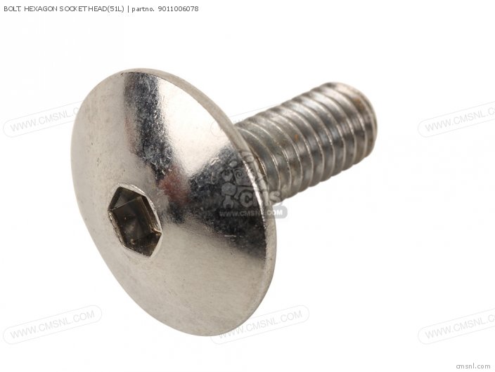 Bolt, Hexagon Socket Head(51l) photo