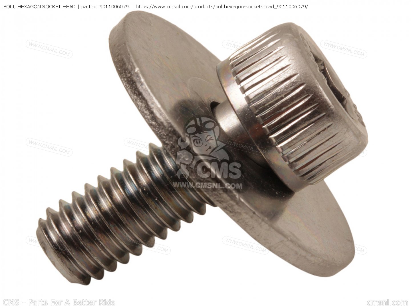 9011006079 Bolt, Hexagon Socket Head Yamaha buy the 9011006079 at CMSNL
