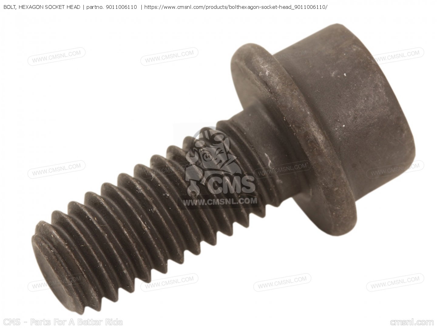 BOLT, HEXAGON SOCKET HEAD for FZ1N 2007 2D17 EUROPE 1F2D1300EA